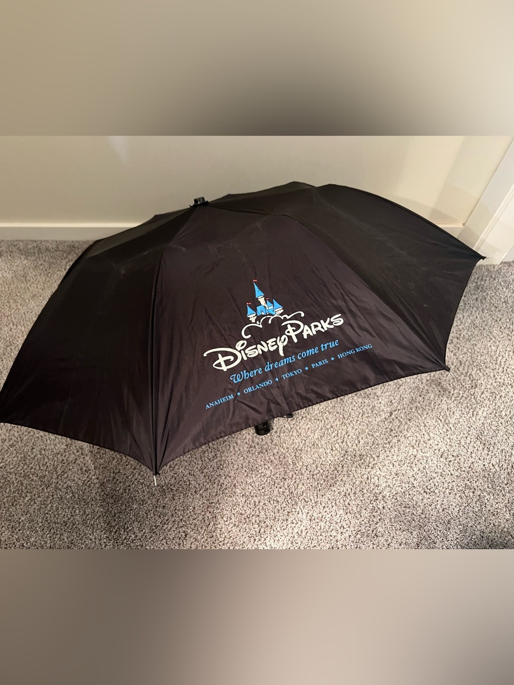 Disney Parks Umbrella